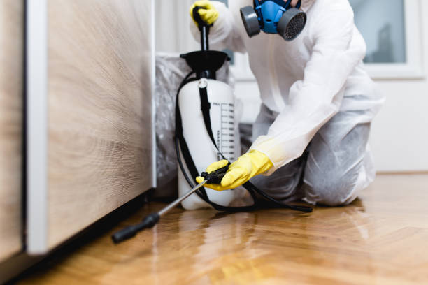 Best Mosquito Control Services  in Jonesboro, GA