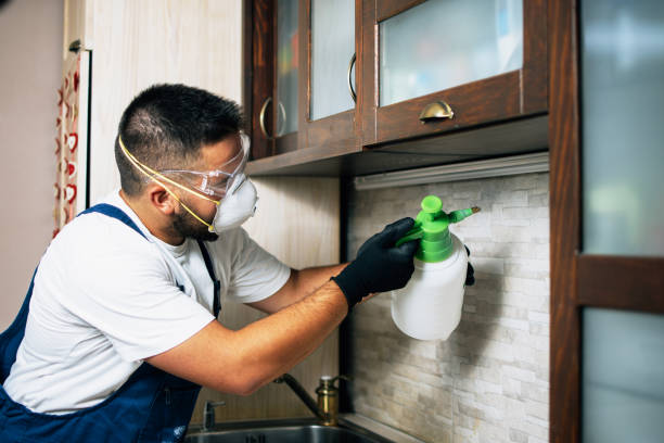 Pest Prevention Services in Jonesboro, GA