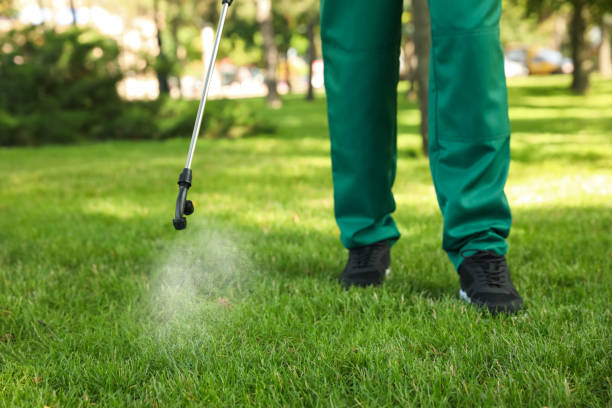 Best Emergency Pest Control  in Jonesboro, GA