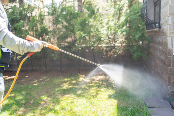 Best Rat Extermination Near Me  in Jonesboro, GA