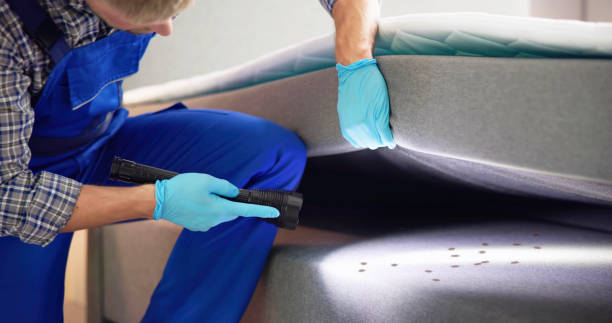 Best Affordable Pest Control Services  in Jonesboro, GA
