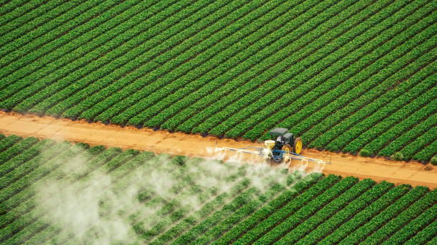 Best Affordable Exterminators  in Jonesboro, GA