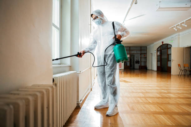 Wasp Removal Services in Jonesboro, GA