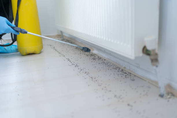 Professional Pest Control in Jonesboro, GA